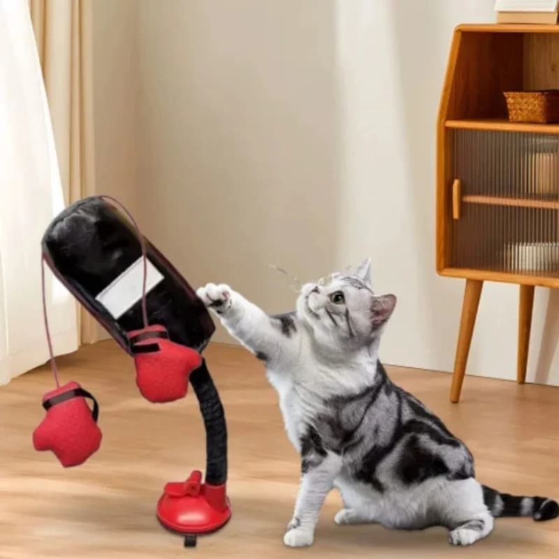 Boxing toys for cats in the shape of animated cardboard with gloves and suction cups, indoor fun for kittens and adult cats, casual color, shipping included