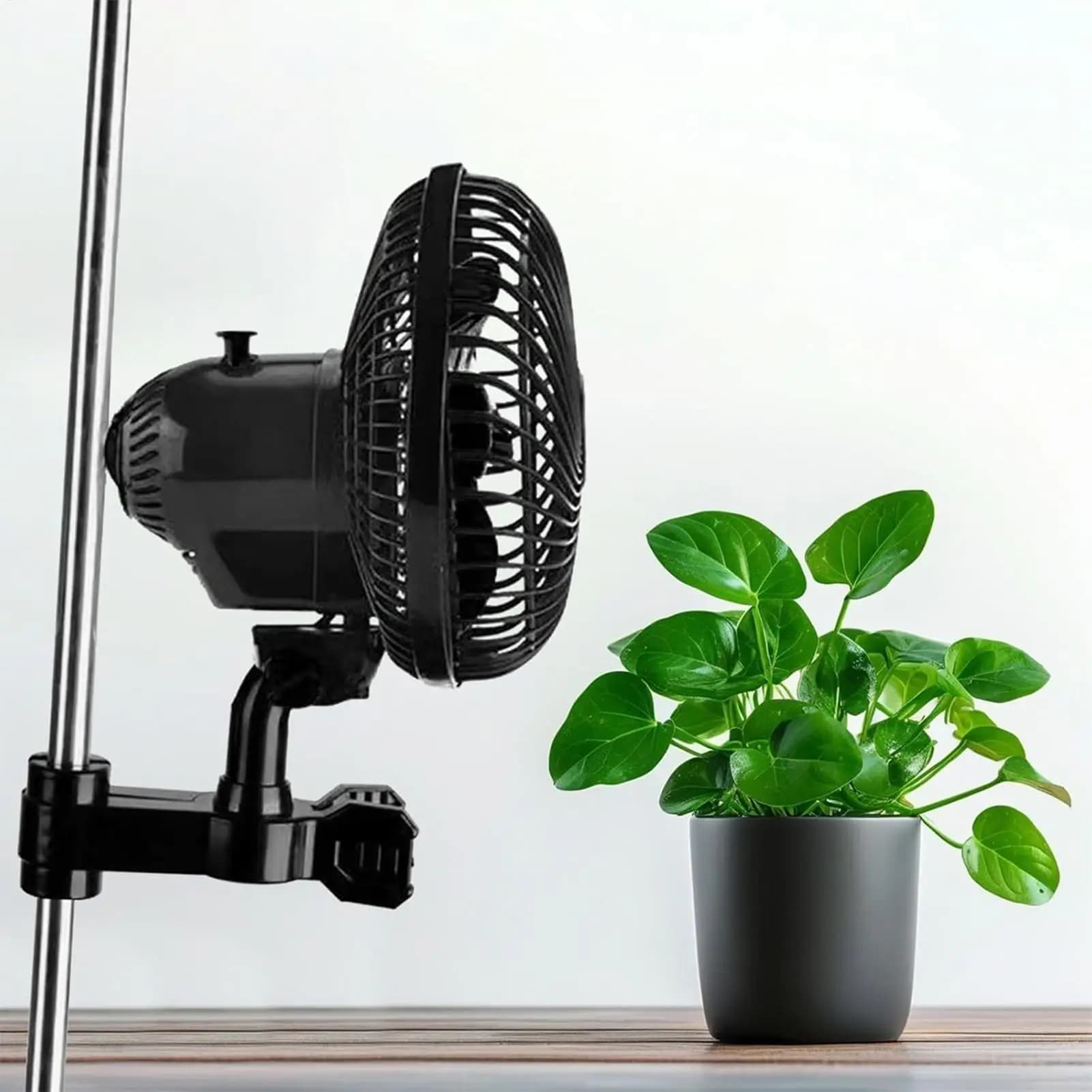 Ventilatore con clip per tenda da coltivazione con spina europea con funzione oscillante Silenzioso circolatore d'aria potente a 2 velocità per cucina in serra idroponica RV