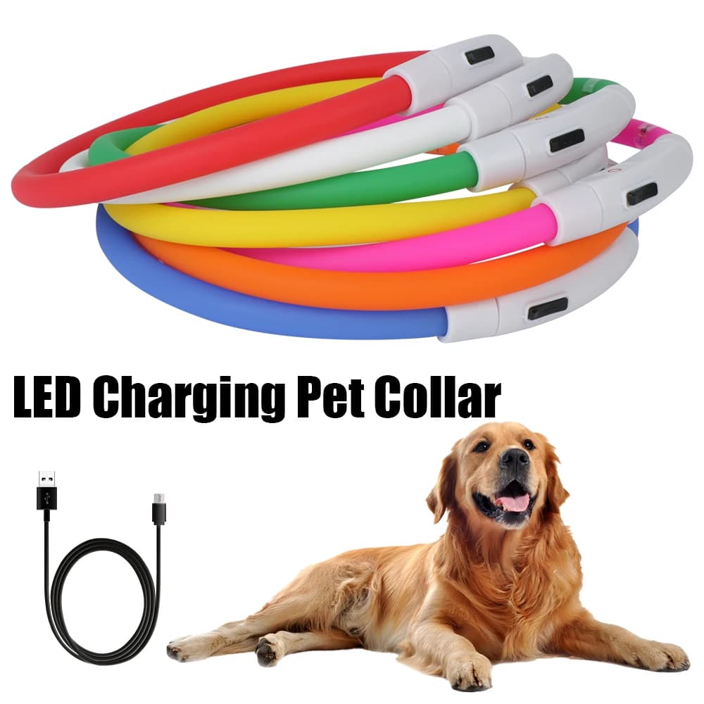 Collare per cani USB a LED per prevenzione della perdita di cani Accessori per animali domestici Collare luminoso lampeggiante di sicurezza notturna Collare di ricarica luminoso notturno