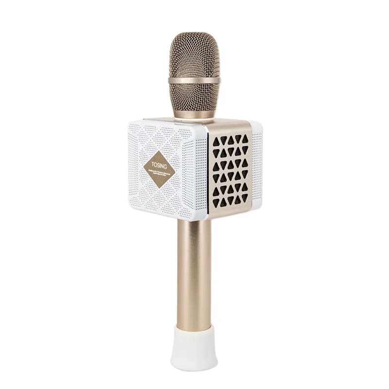 Tosing 016 Regalo classico Macchina per karaoke per adulti Alti/Basso/Eco Guida turistica potenziata Microfono 20W Altoparlante Cellulare/TV Canto