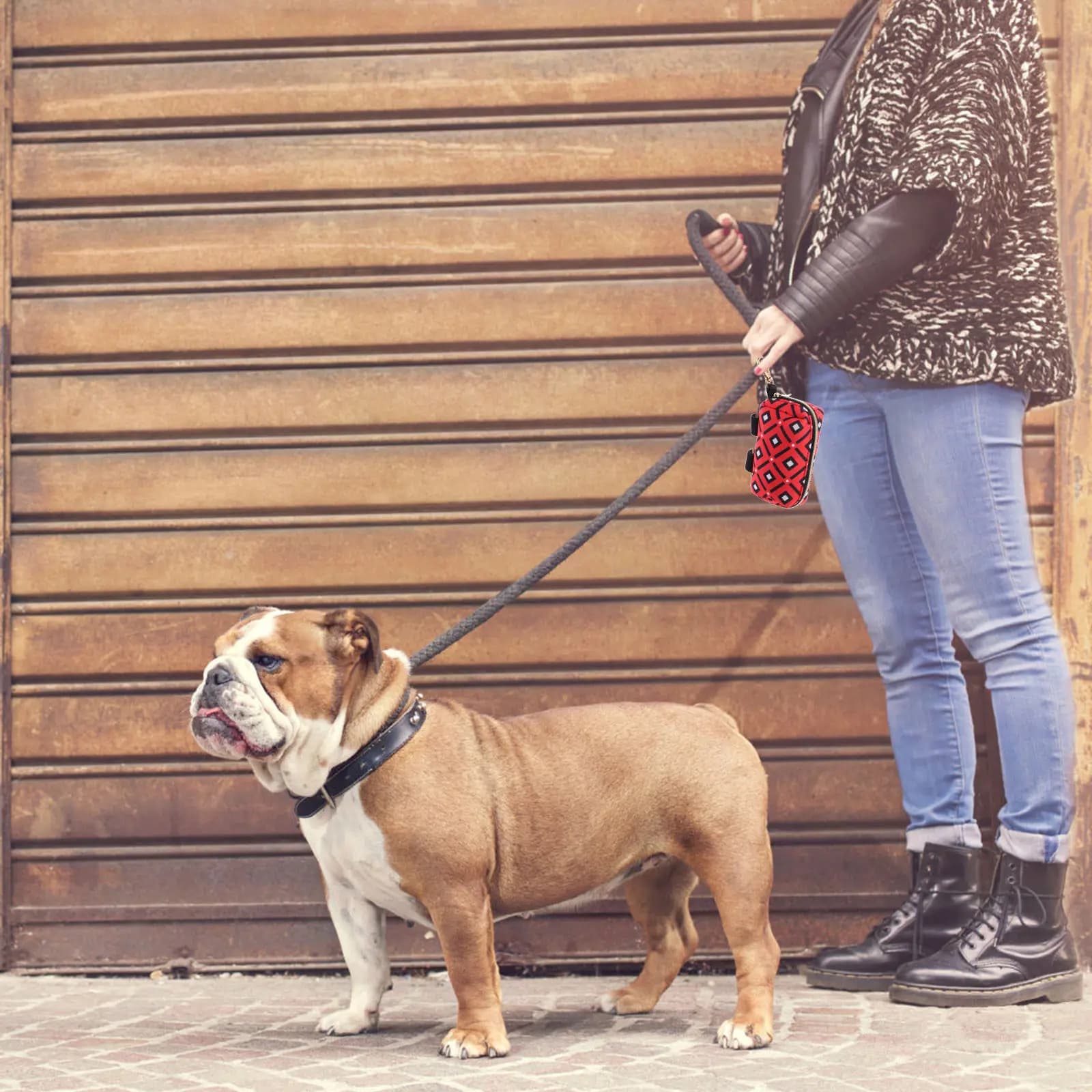 Contenitore Portatile per Sacchetti per Escrementi di Cane, Dispenser Resistente all'Usura in Poliestere, Facile da Attaccare a Guinzaglio, Zaino, Borsa, per Esterni