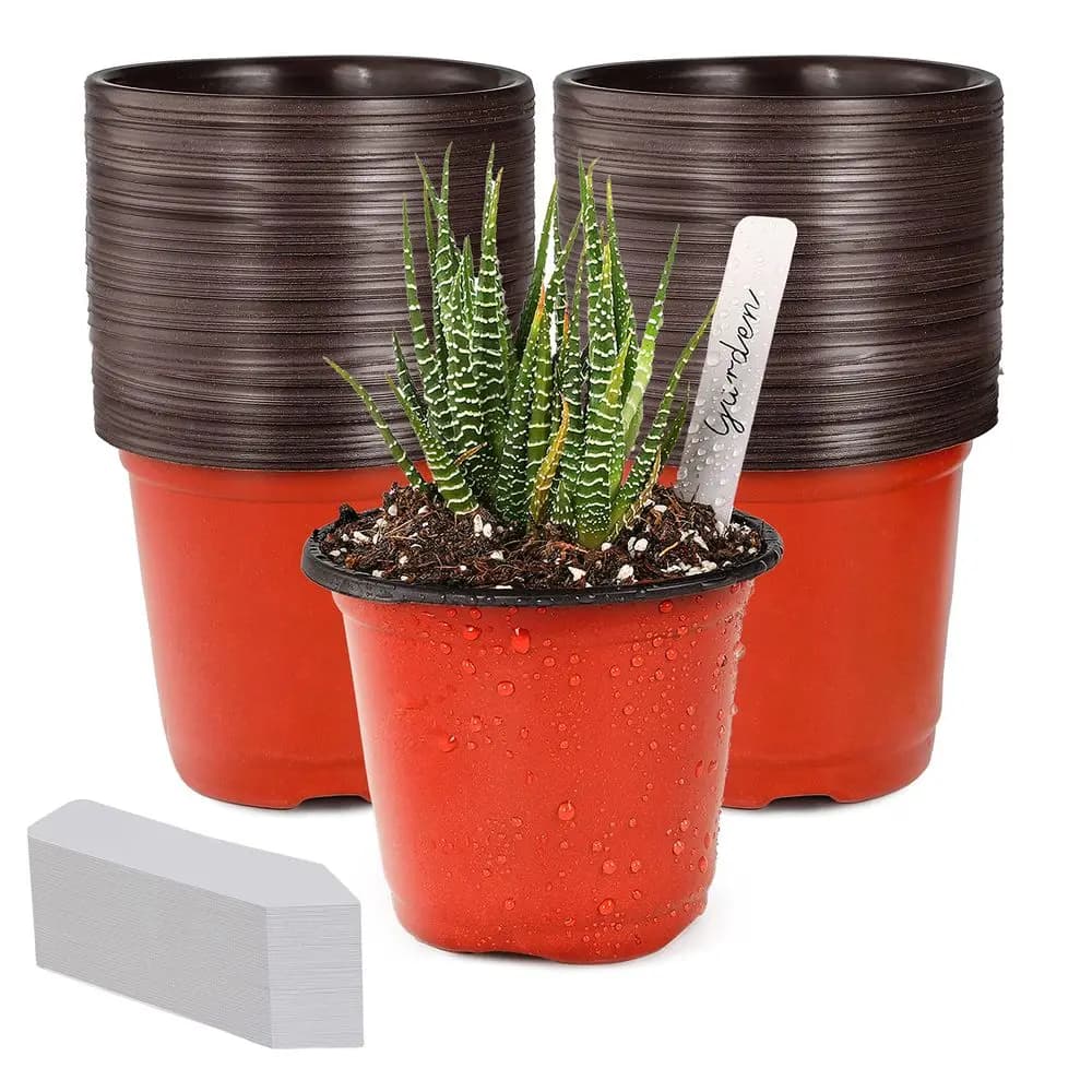 4 Small pots in Plastic for Plants, 100 Pieces, Containers for Seeds and Flowers, with 100 Labels for Plants