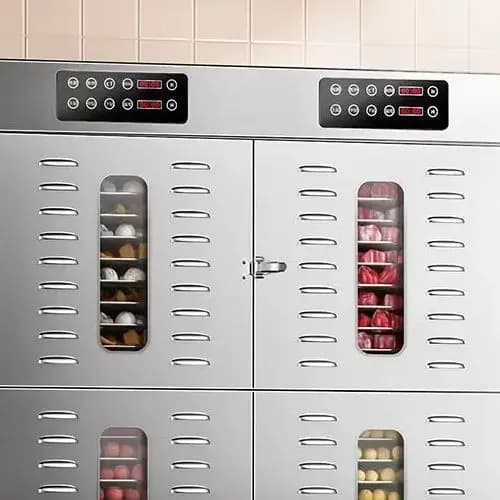 220V Macchina per frutta secca Essiccatore per disidratazione alimentare Essiccatore per frutta Essiccatore per alimenti commerciale in acciaio inossidabile Verdure secche Snack per animali domestici