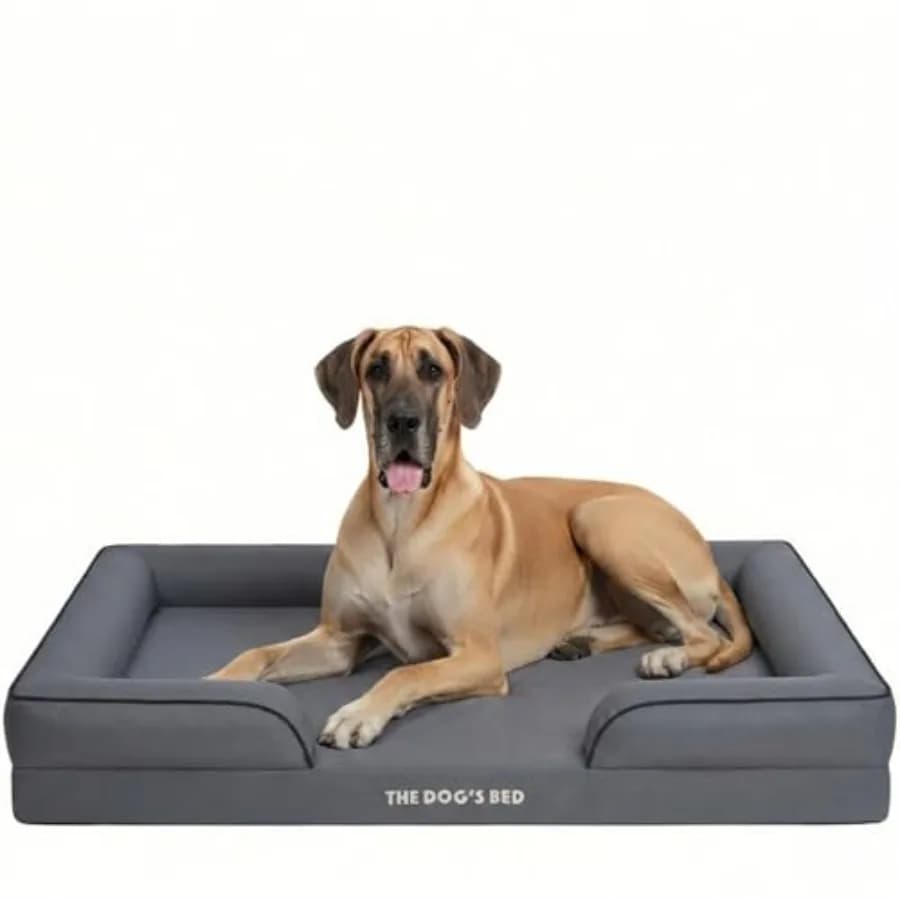 Cuccia XXL per cani con supporto in schiuma a nido d'ape, tessuto grigio Oxford, rivestimento lavabile, fodera impermeabile rimovibile, base antiscivolo, stile divano
