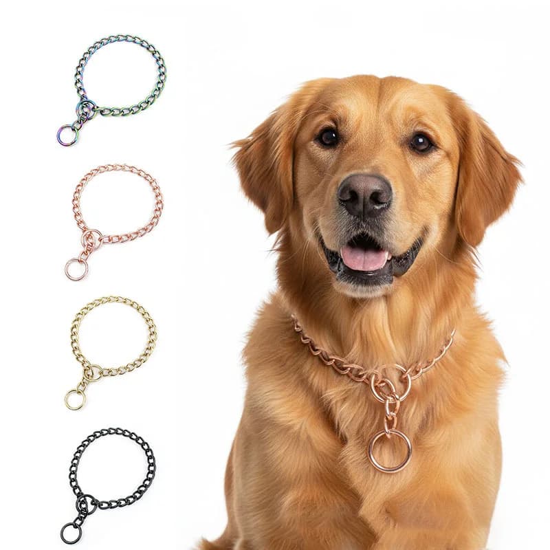 Collare per cani a catena in acciaio inossidabile, collare in metallo per addestramento cani, guinzaglio per cani