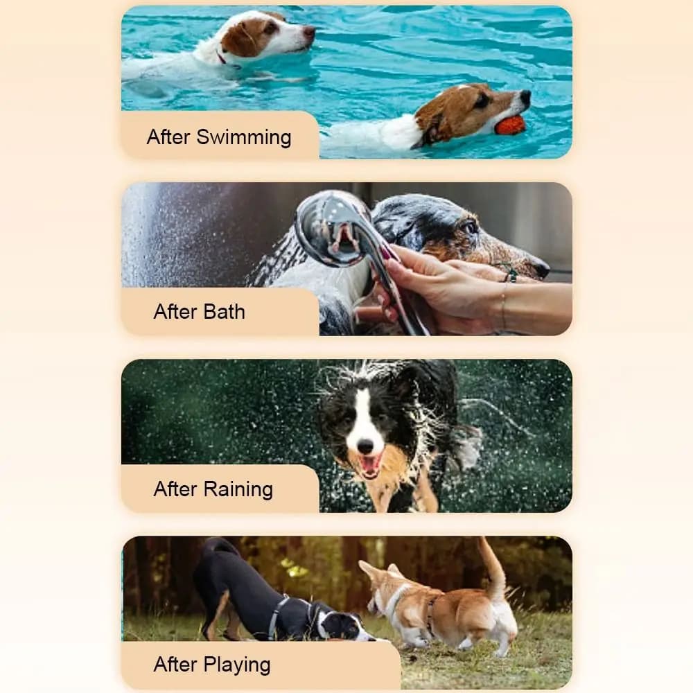 Accappatoio per Cani ad Assorbimento Rapido, Asciugamano in Microfibra a Doppio Strato, Cappotto Asciugante per Animali Domestici, Ideale per Golden Retriever
