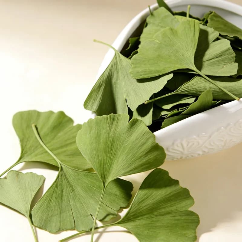Quality Ginkgo Biloba Dried Leaves For Beauty Health Soap Home Fragrance Sachet Wedding Candle Jewelry Making Outdoor Decor