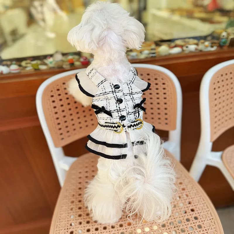 Gonna con cinturino a quadretti per animali domestici primaverili Abito carino Set di trazione stile abbigliamento per cani/gatti con imbracatura per cani con corda di trazione Cucciolo