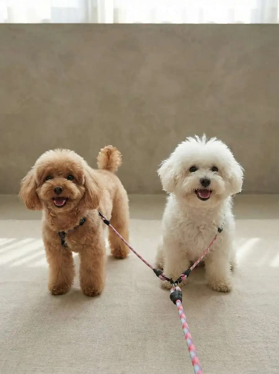Guinzaglio per cani a doppia testa staccabile, senza nodi, con motivo a onde, design convertibile, resistente, per passeggiate all'aperto, per due cani, uso quotidiano.