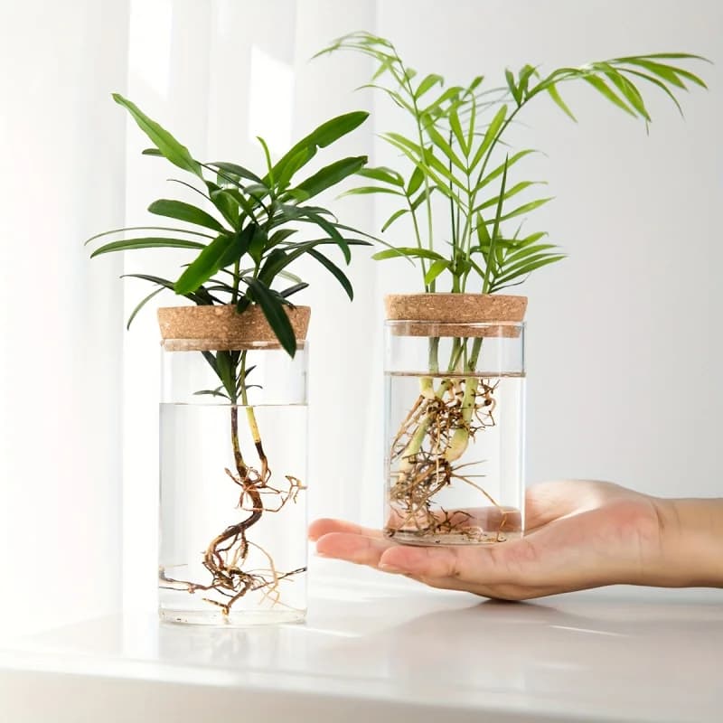 1 pcs, hydroponic plants table glass jar for home decoration, plant propagation station buds pot, Desktop hydroponic crop