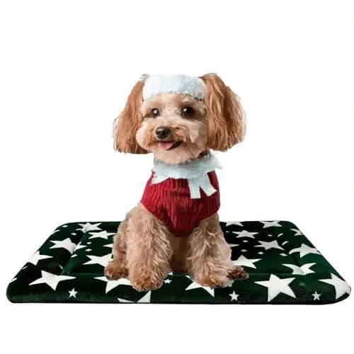 Tappetino per Cani, Materassino Reversibile per Gabbie con Tappetino Lavabile e Schiuma Morbida, Cuccia per Cani e Gatti, per Gabbie e Trasportini