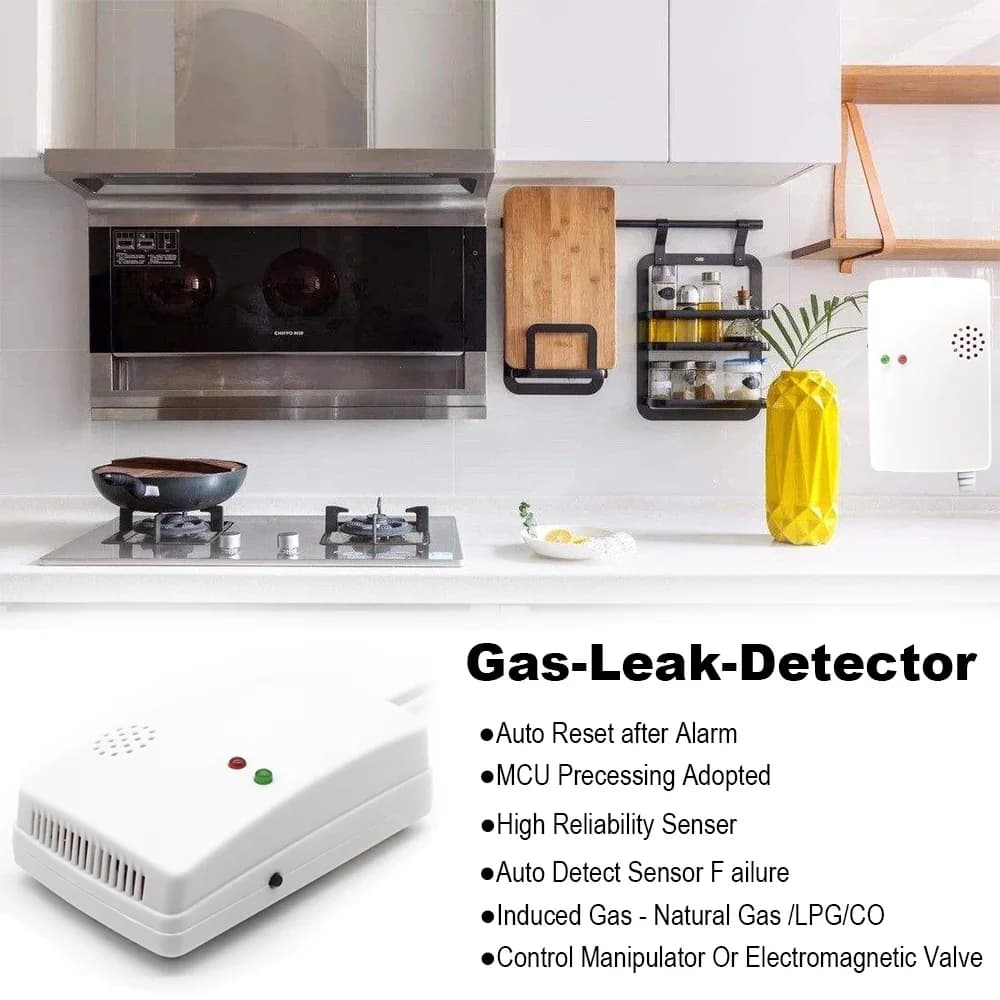 Rilevatore di Monossido di Carbonio CO e Gas Combustibile, Monitor per Perdite di Gas Naturale, Rilevatore di CO, GPL e Metano per Cucina