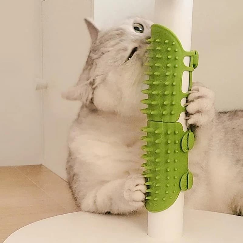Pet Cat Hair Removal Massage Pettine Table Corner Cat Toelettatura Pet Brush Anti-prurito Instrument Self-cleaning Gattino Floating Hair Scraper