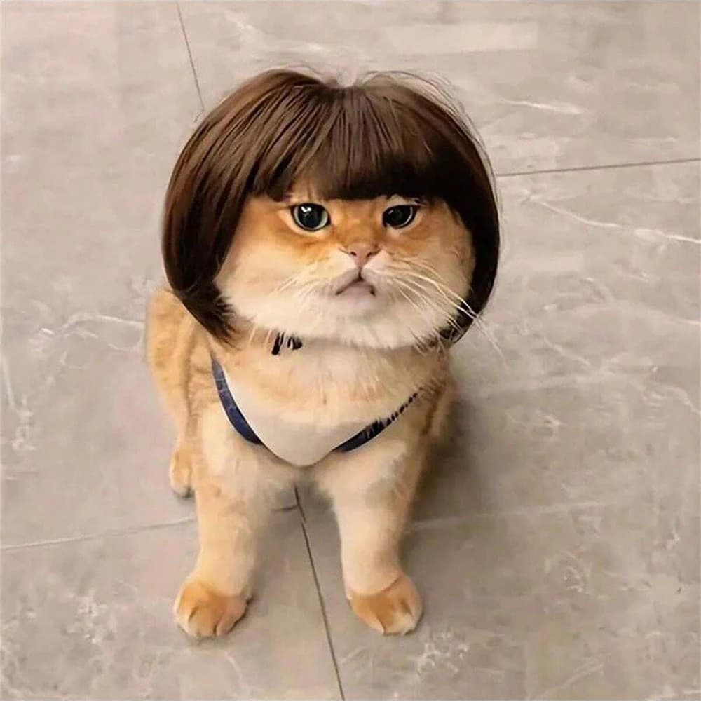 Divertente Parrucca per Animali Domestici, Costume Corto per Cani, Decorazioni per Gatti, Cappello con Pelo, Accessori per la Testa, Forniture per Halloween e Natale
