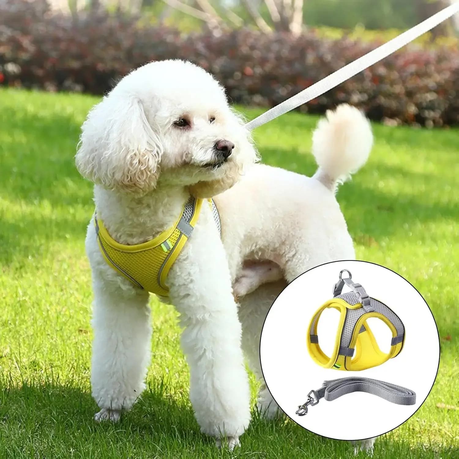 Adjustable Breathable Pet Vest Puppy Cat Harness Leash Set for Small Dogs Cats French Bulldog Chihuahua Walking Lead Leash
