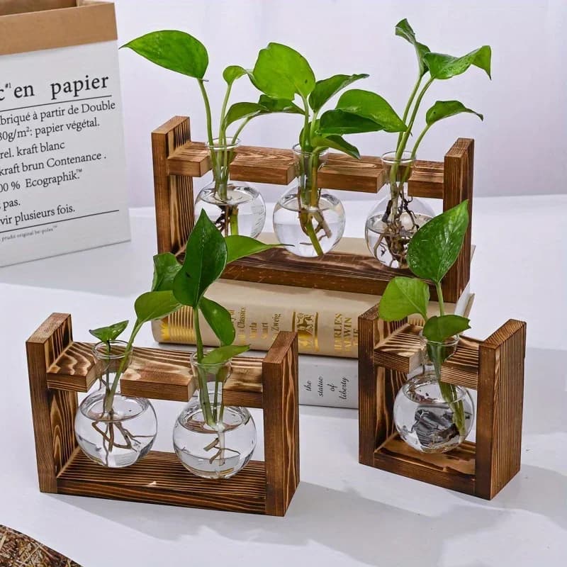 Pot for hydroponic plants with propagation station for table glass planter with wooden tray, flower container for home office decoration