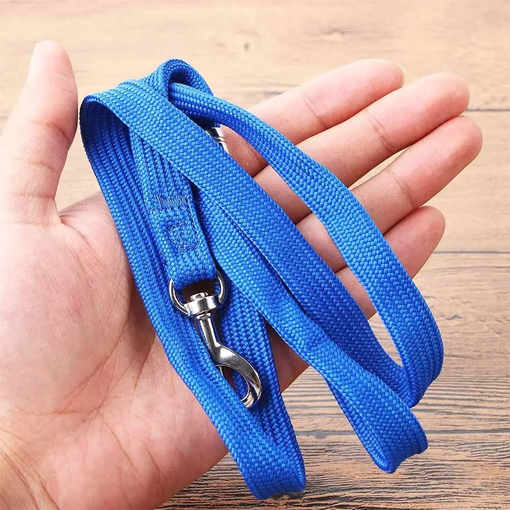 Guinzaglio di sicurezza in nylon fisso per cuccioli, corda con clip per il bagno, imbracatura con anello di blocco, corda di contenimento per toelettatura animali, accessori per cani