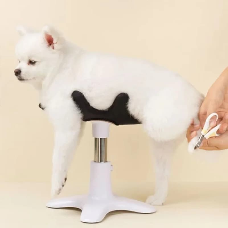 Dog Grooming Beauty Fixed Table Base Frame Adjustable Metal Pet Bath Fixer Universal Removable Pest Grooming Fixing Table Poodle