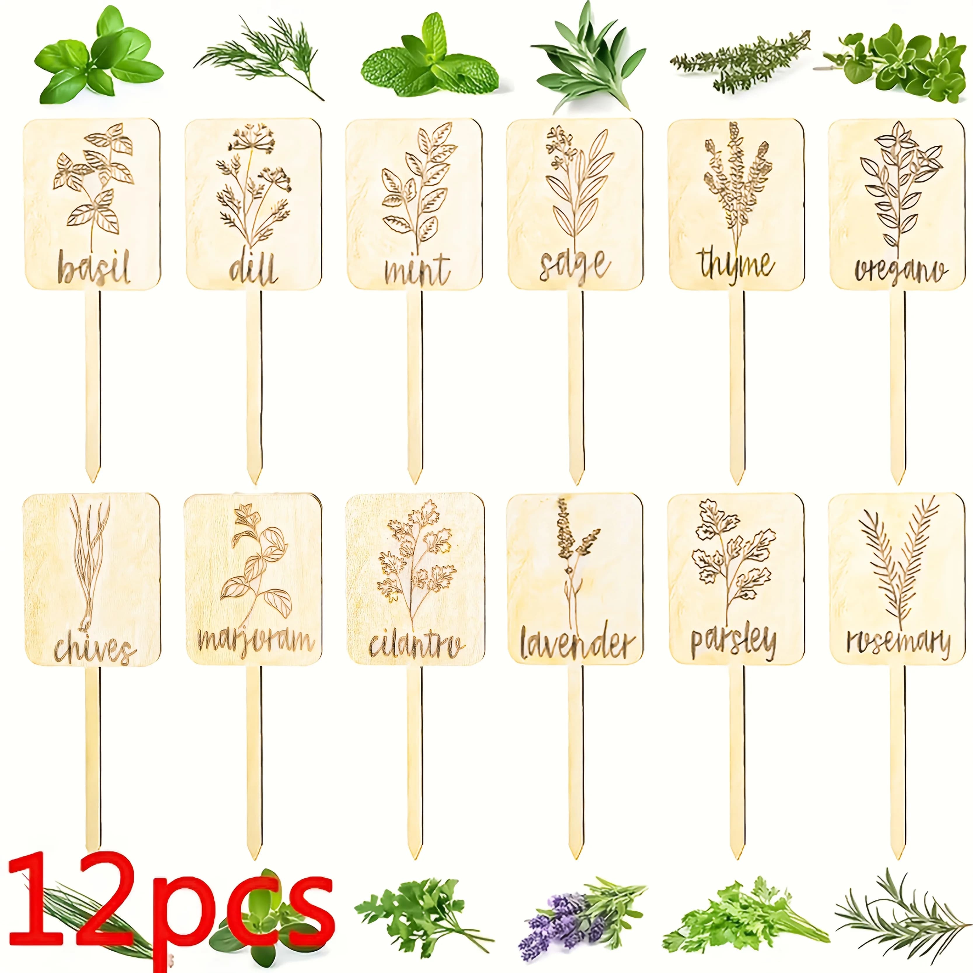 12 Etichette per Piante Ecologiche in Legno, Targhette per Giardino, Segnaposto per Bonsai, Semi, Erbe in Vaso, Fiori
