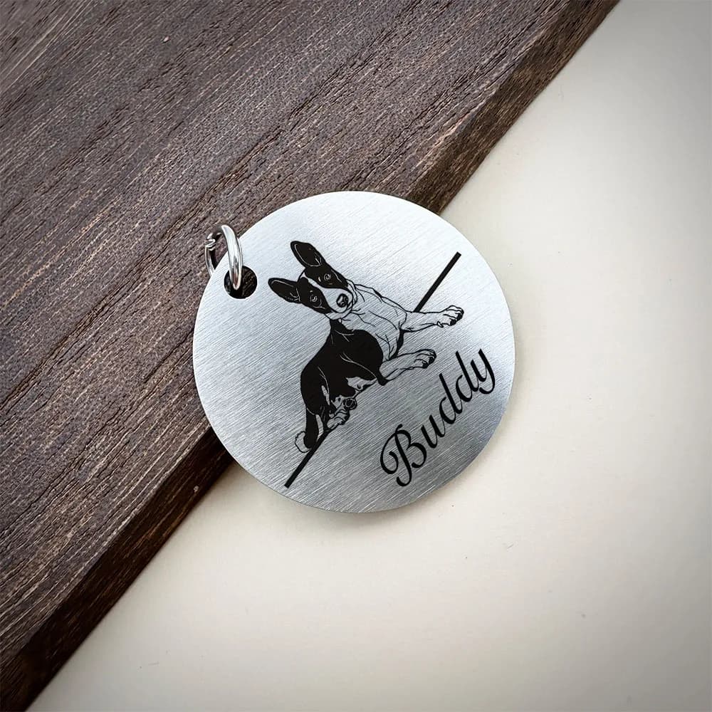 Etichette identificative per animali domestici personalizzate in acciaio inossidabile opaco Incisione Collari anti-smarrimento per cuccioli Tag Nome per cani e gatti Animali domestici Accessori per cani Forniture