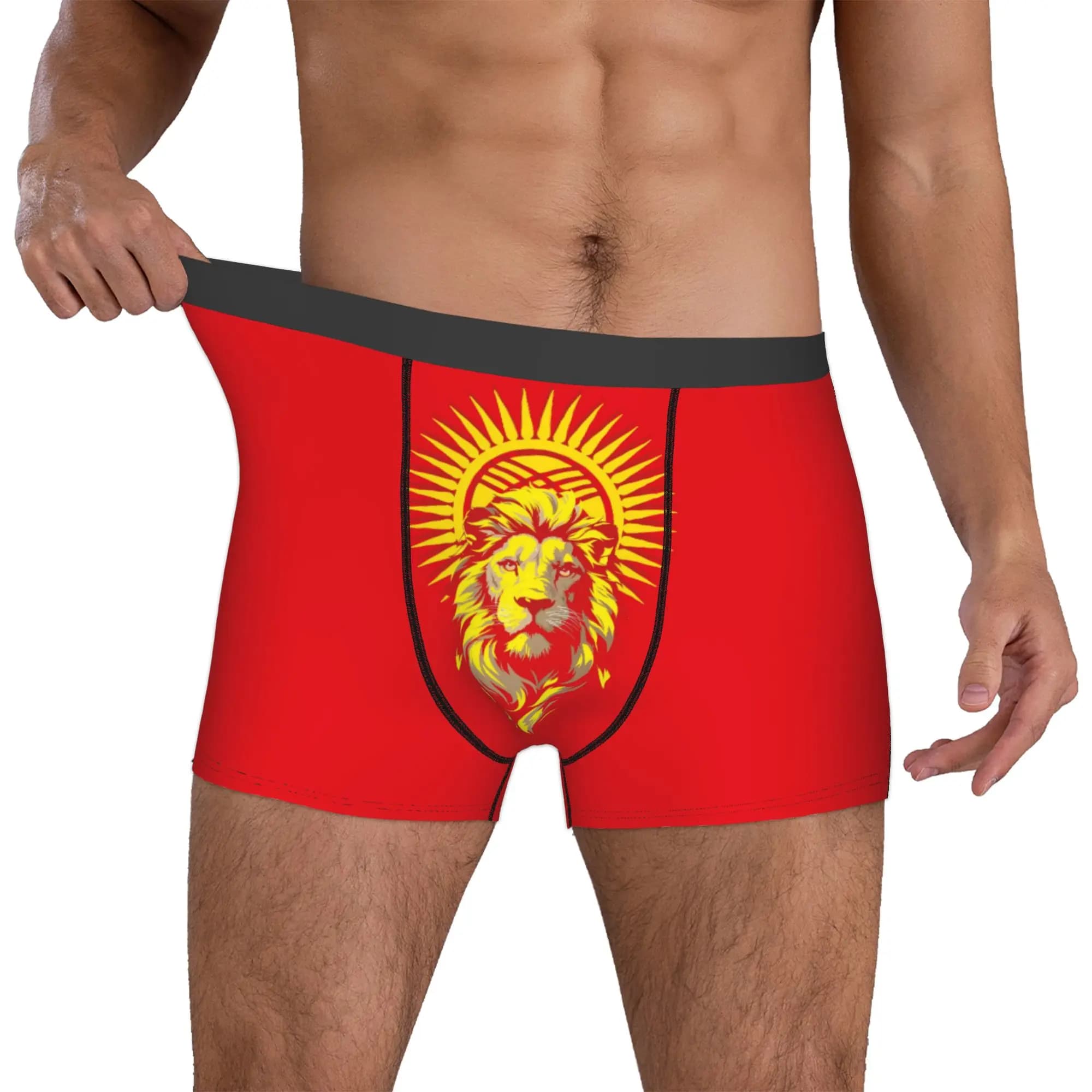 Customized Male Funny Iran Flag Persian Winged Lion Underwear Boxer Briefs Stretch Shorts Panties Underpants