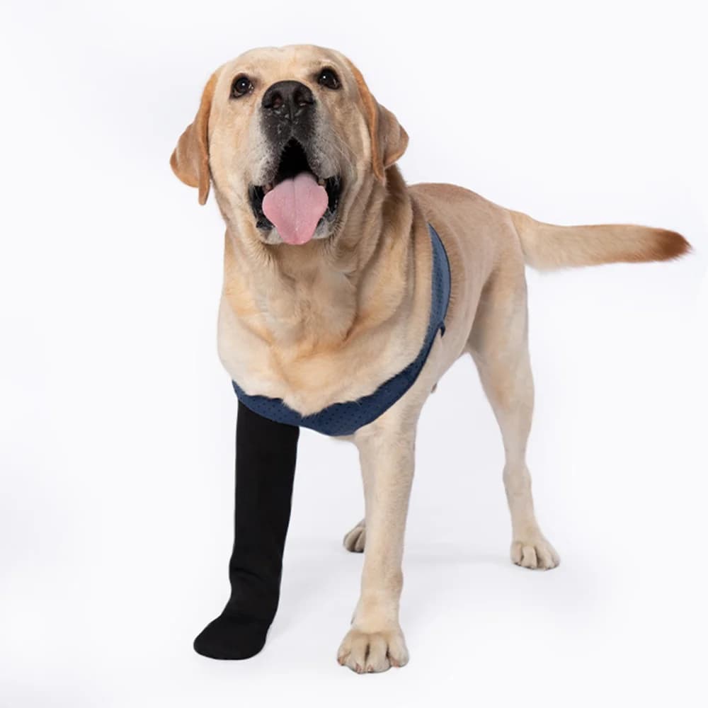 Calzini COODEO per cani per prevenire il leccamento delle zampe, protezioni per zampe con fondo antiscivolo per la protezione delle ferite, per il piede destro