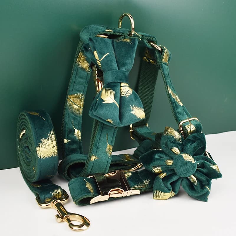Set Collare e Guinzaglio per Cani in Velluto Verde con Piuma, Targhetta Personalizzabile, Accessori per Animali Domestici, Guinzaglio per Cani in Velluto 25