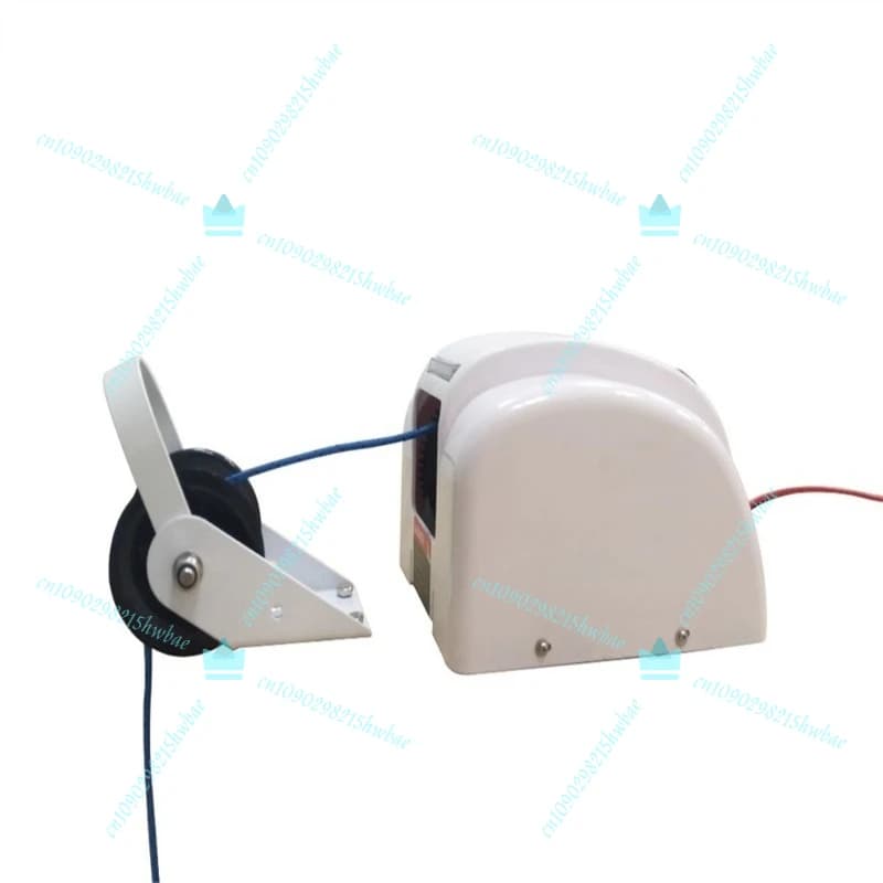 Verricello Elettrico per Ancora 12V, Automatico per Barche, Peso Ancora 21kg, Verricello Marino per Impieghi Gravosi
