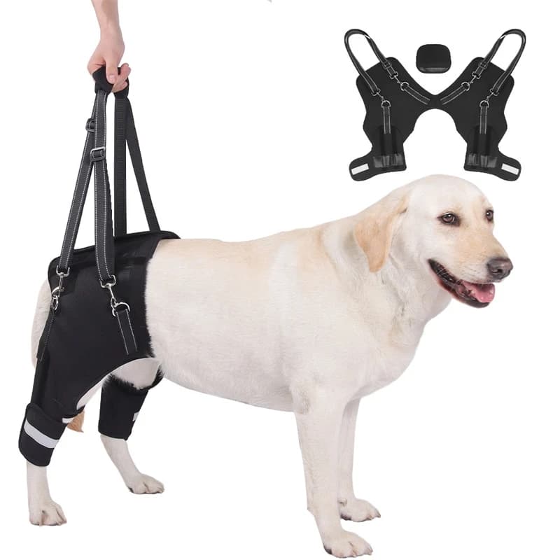 Imbracatura per sollevamento cani Supporto per l'anca della gamba posteriore con impugnatura robusta Strumento di assistenza per animali domestici imbottito morbido regolabile per cani feriti o anziani