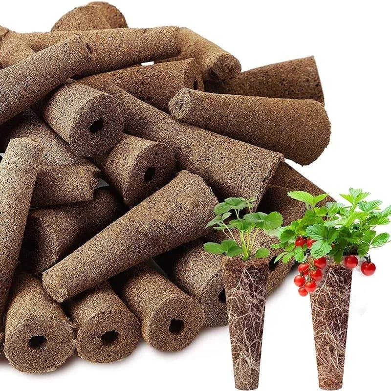100Pcs Seed Grow spugne di ricambio spugne per la crescita delle radici tappi di avviamento per piantine avviamento seme Pod piantagione idroponica da giardino