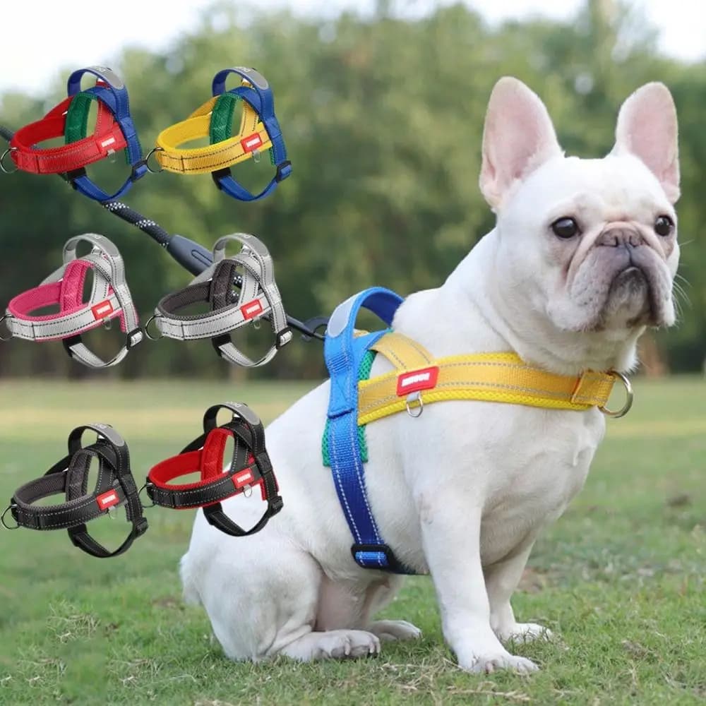 Gilet regolabile per imbracatura per cani Cintura toracica per cani comoda e riflettente Gilet per animali domestici antideflagrante resistente all'usura per cani di piccola taglia media