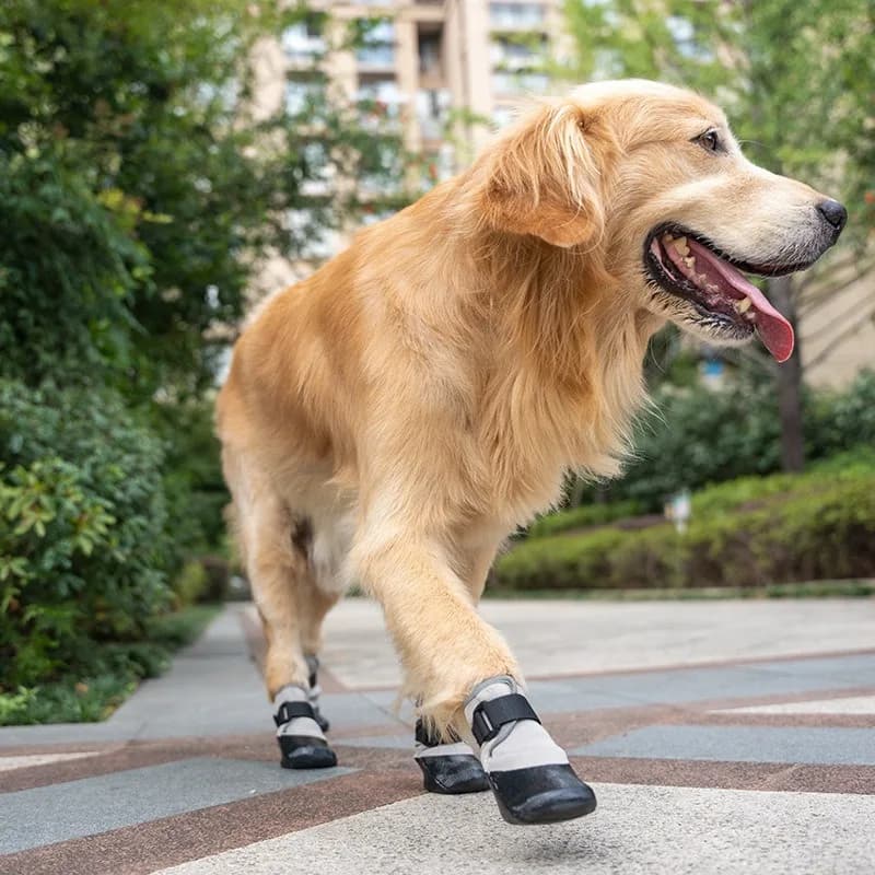 Scarpe da ginnastica per cani da corsa Scarpe da passeggio per cani traspiranti antiscivolo Design riflettente Accessori portatili per la protezione del piede per cani