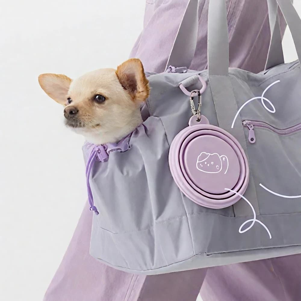 Ciotola da viaggio pieghevole portatile per animali domestici da 350/650 ml Ciotola per cibo per acqua per cani in silicone a tenuta stagna Alimentatore per gatti con clip per esterno