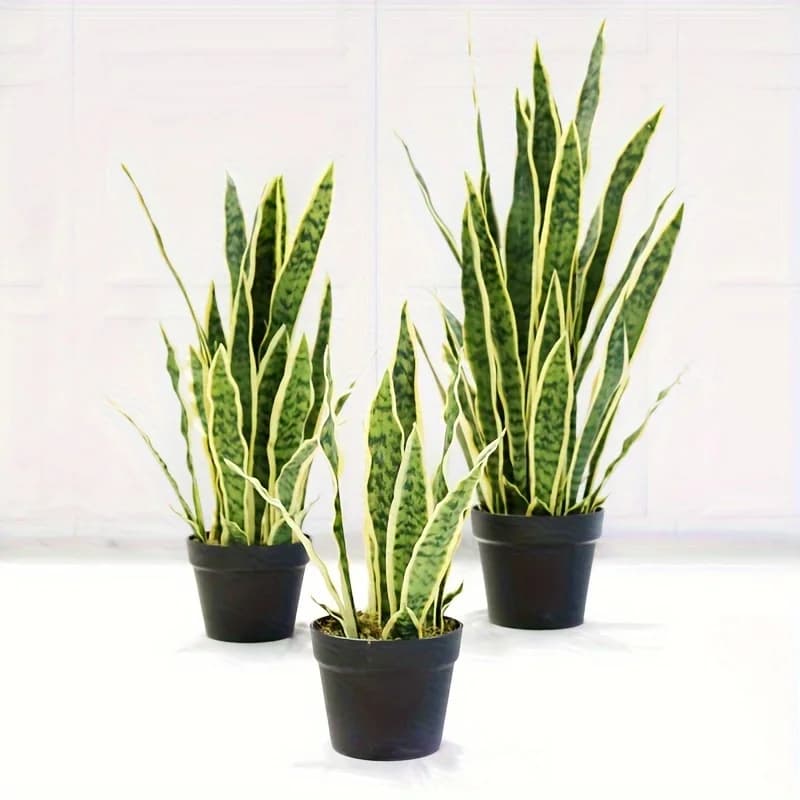 Artificial Golden-Edged Snake Plant – Floor-Standing Potted Greenery – Faux Plant Decor for Indoor Home Interiors