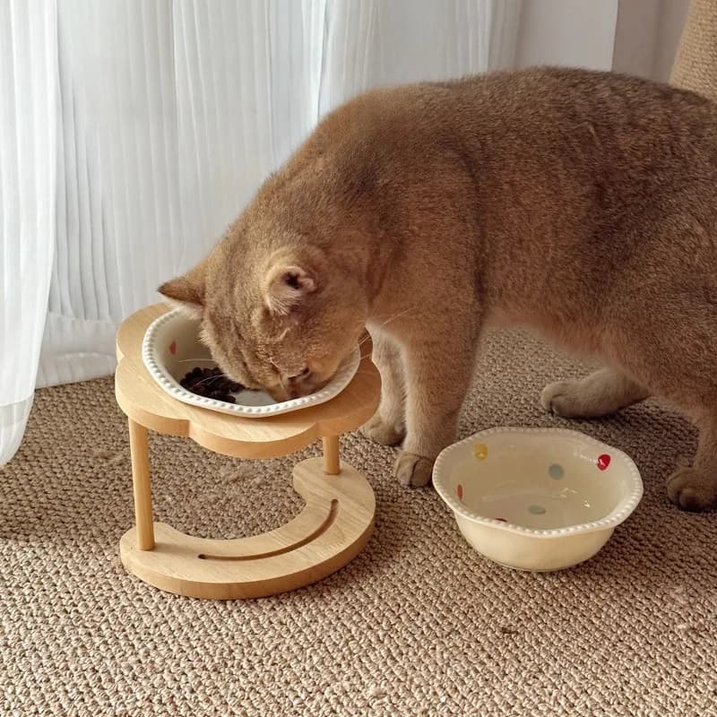 A Set Elevated Wooden Cat Bowl Stand Neck Protection Pet Feeder Anti-Spill Cat Dog Food Water Bowl Pet Tableware