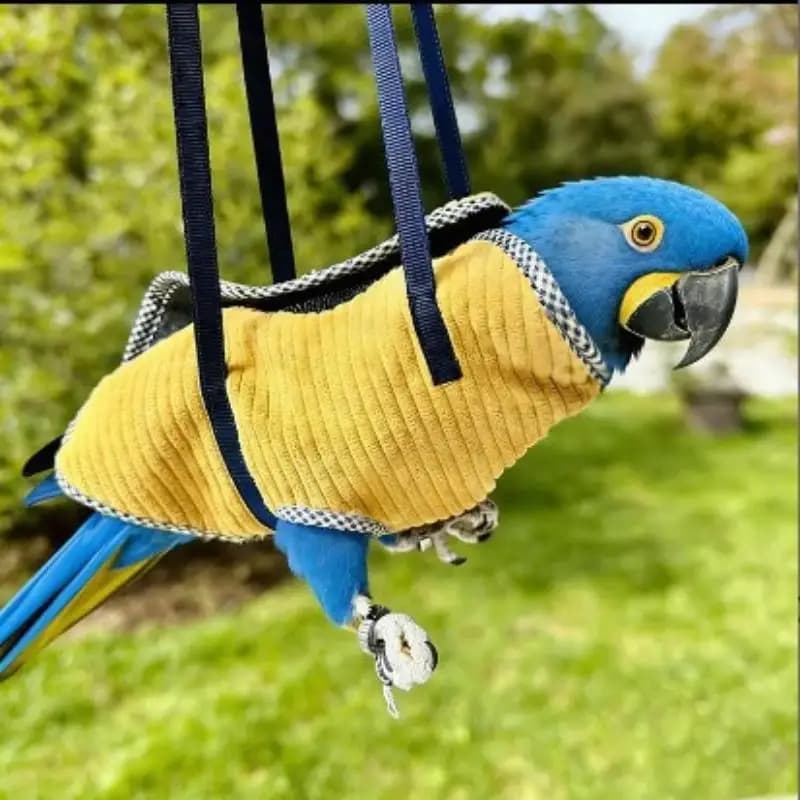 Anti Escape Parrot Vest Carrier Breathable Portable Bird Backpack Outdoor Walking Bird Bag For Budgies Small Parrots Pet Outing
