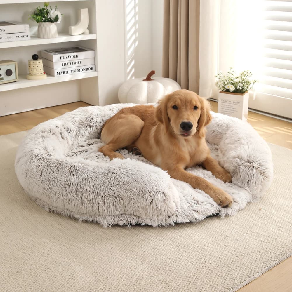 Cuccia per cani rotonda cuccia per cani in peluche cuccia per cani imbottita invernale divano per letto per cani rimovibile cuccia per cani di piccola taglia