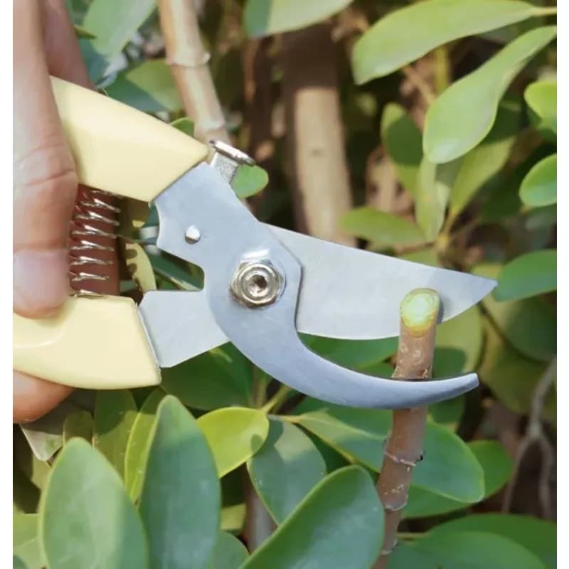 Garden Pruning Shears Stainless Steel Hand Cutter Scissors for Branch Trimming Flower Cutting Fruit Harvest Nursery Yard Tool