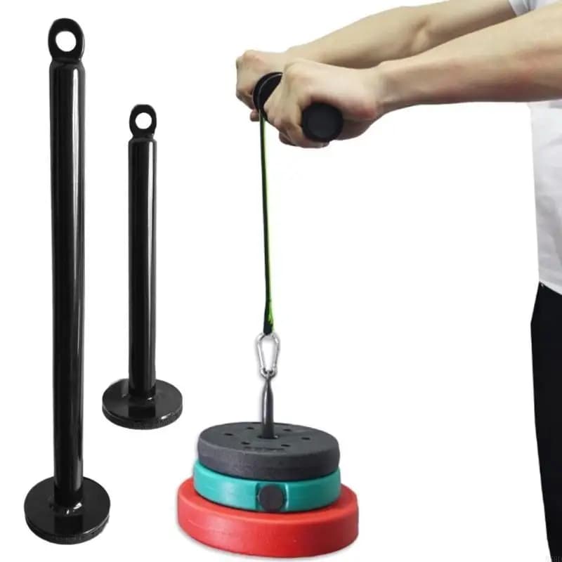 Barbell weight plate with fixed steel bracket, loading pin, pulley, cable, handlebars