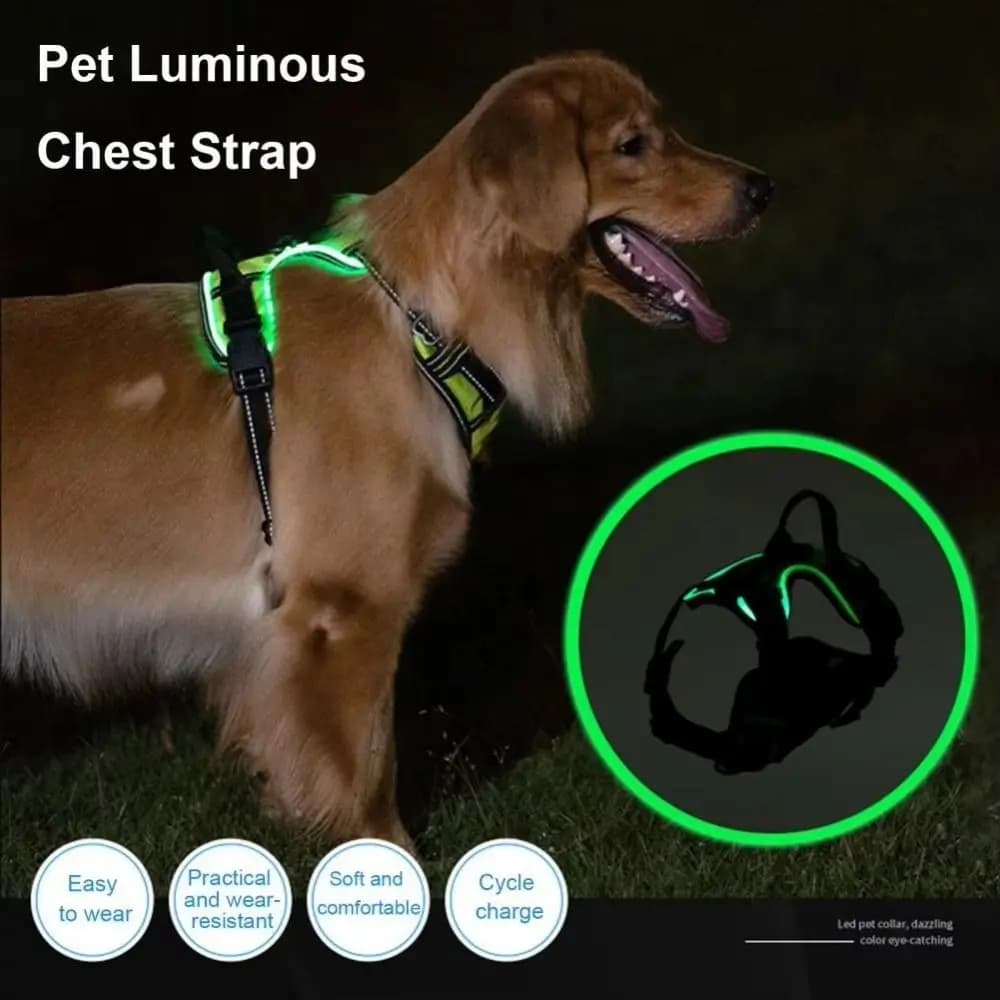 Imbracatura per cani illuminata a LED Cintura pettorale per animali domestici luminosa regolabile ricaricabile Collare imbottito morbido Gilet luminoso per cani per passeggiate notturne