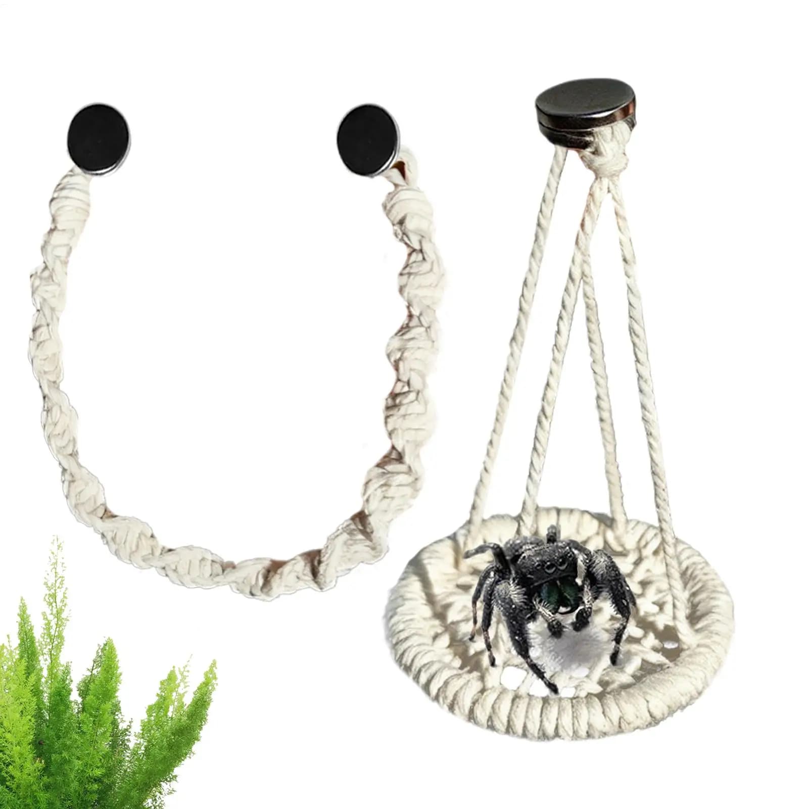 Jumping spider accessories Corda hanging Climbing swing Jumping spider Terrarium decoration for farming Geckos Tree rane