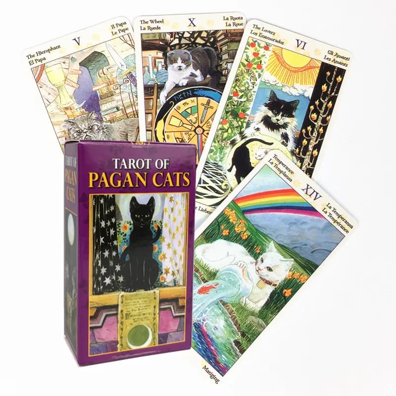 78 Carte Mazzo Tarocchi Di Gatti Pagan Full English Family Party Gioco Da Tavolo Carte Oracle Astrologia Divinazione Destino Carta Trasporto di Goccia