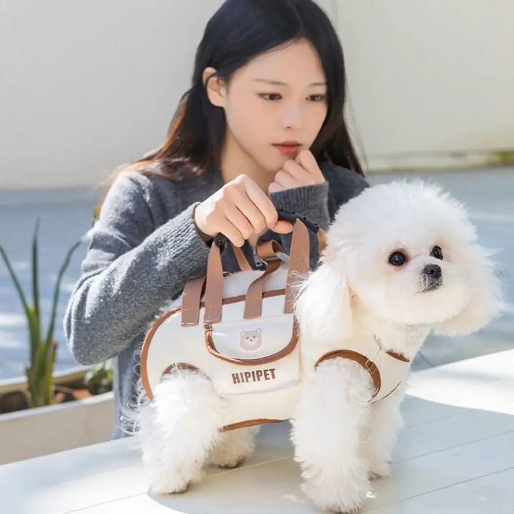 Zaino portatile per cani a doppia spalla, traspirante, lavabile, con tracolla per animali domestici, artefatto, borsa da viaggio regolabile per cani