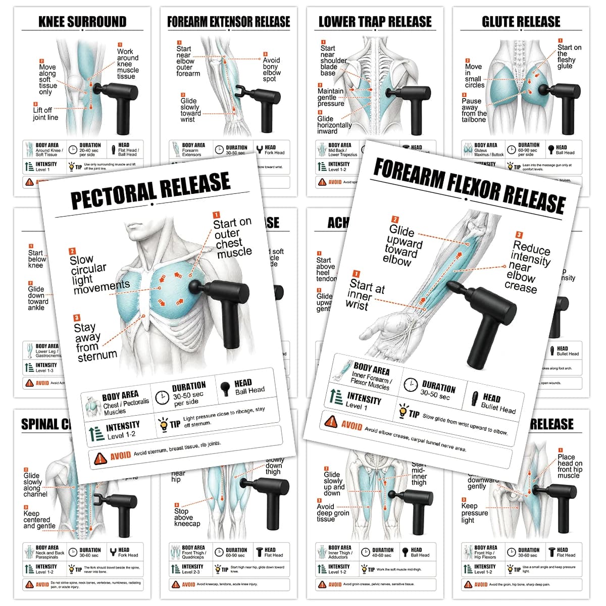 30pcs Massage Gun Muscle Release Guide Reference Cards For Fitness Enthusiasts,Gym Coaches,Massage Room Reference Material Cards