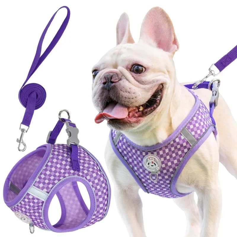 Nuovo guinzaglio per cani anti-salto, regolabile, per guinzaglio corto, corda rotonda, comodo da tenere in mano, guinzaglio per cani.
