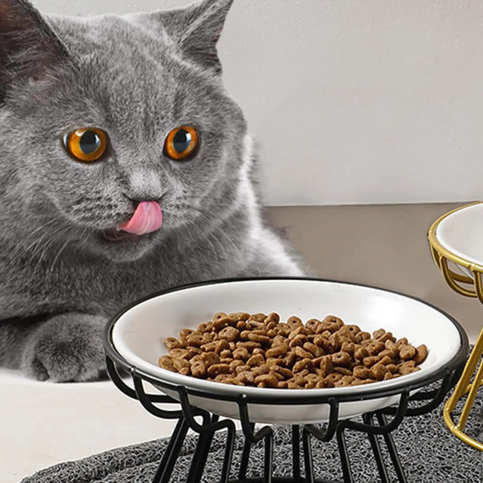 Ciotola Rialzata Portatile in Ceramica per Cani e Gatti con Supporto in Ferro, Mangiatoia Staccabile per Cibo e Acqua, Cura Cervicale, Uso Interno