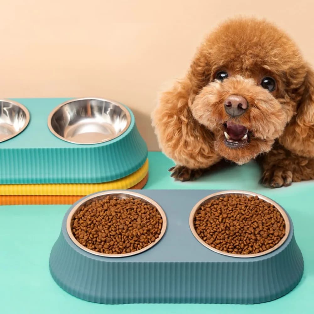 Ciotola per Animali Domestici in Acciaio Inox Stile Colonna Romana, Set di 2 Ciotole Diagonali per Cani e Gatti