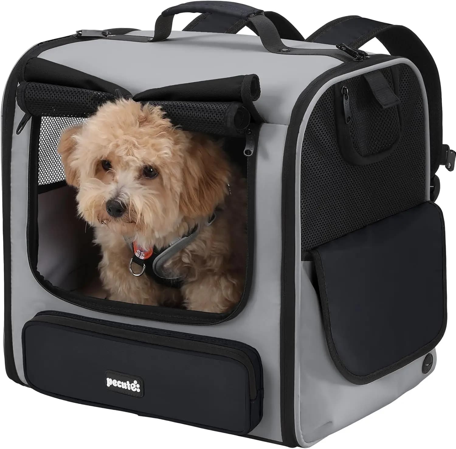 Zaino Trasportino per Cani e Gatti Ampio e Spazioso, Borsa Ventilata per Animali Domestici per Escursionismo e Campeggio Grigio