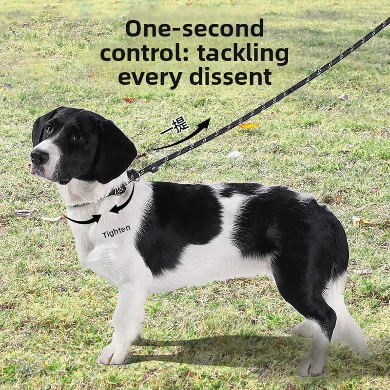 Guinzaglio riflettente in nylon per cani P per cani di taglia grande e media Collare da addestramento per mani antiscivolo