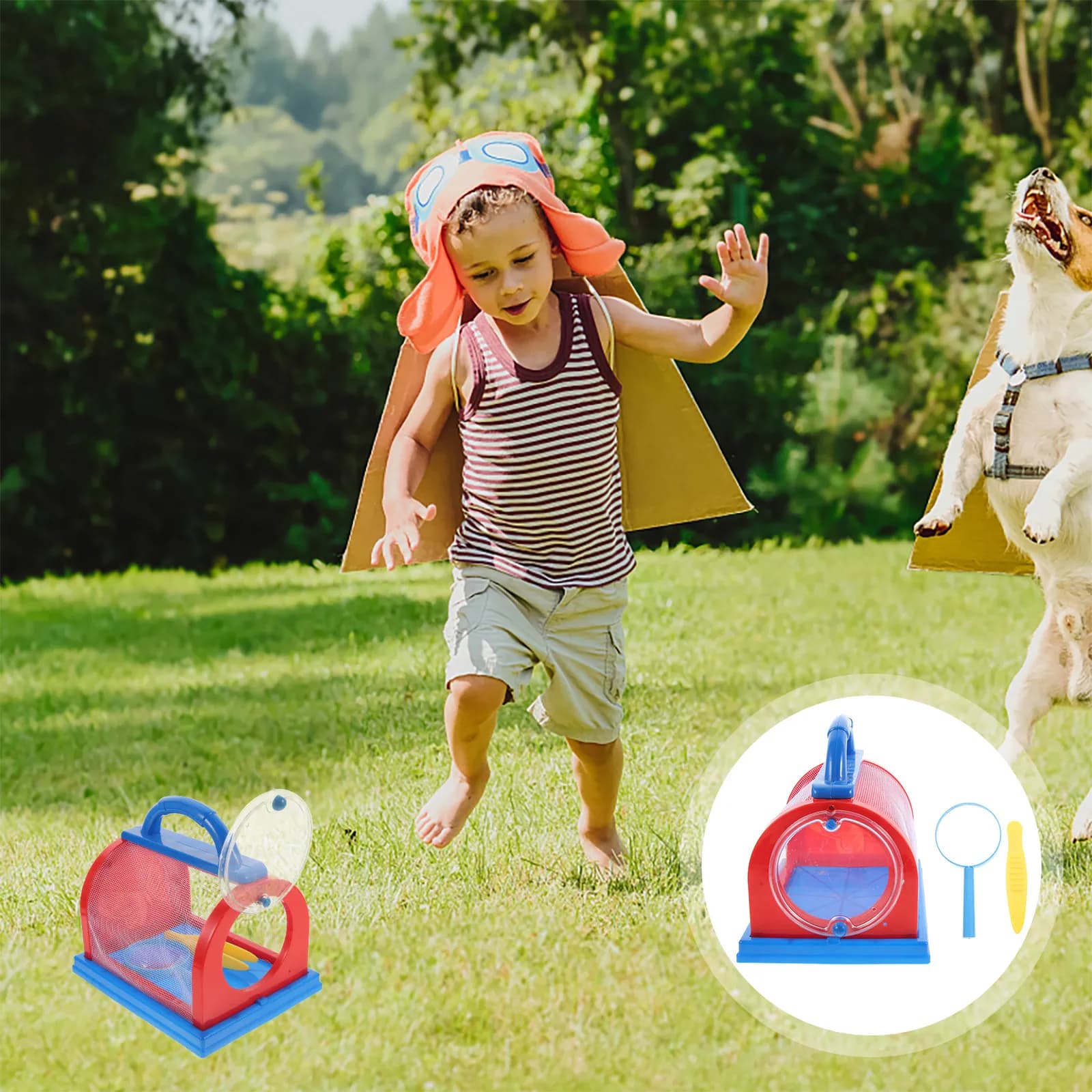 Set di 1 Gabbia Portatile per Insetti in Materiale ABS, Scatola per l'Osservazione e l'Allevamento di Farfalle, Leggera e Trasparente con Rete, per Bambini e Uso Esterno